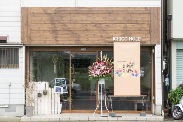 ジャパンイチゴ-1605105