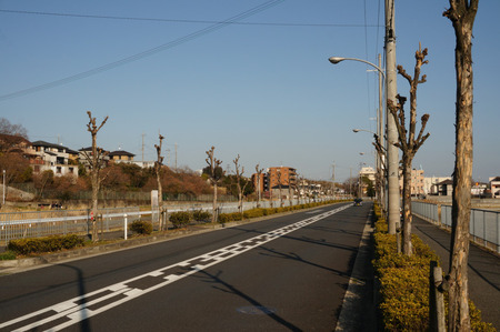 おかやま歯科130228-07