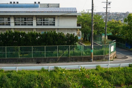 長尾小学校130506170040