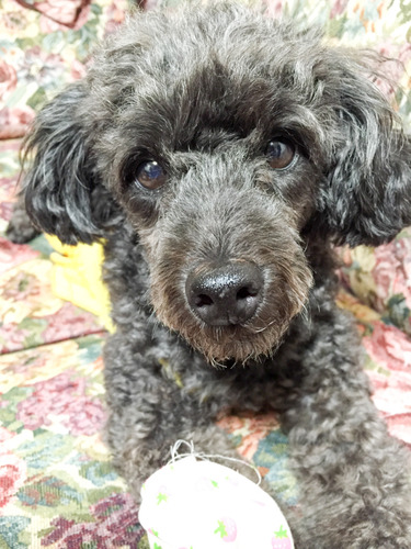 しおんとハヌル-2