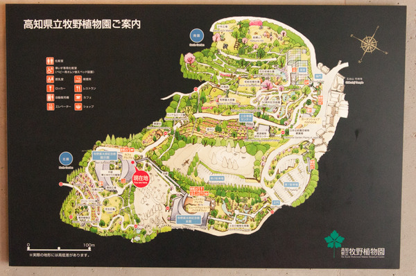 高知-194