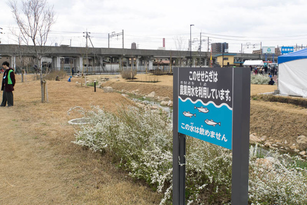 安満遺跡公園-19032320