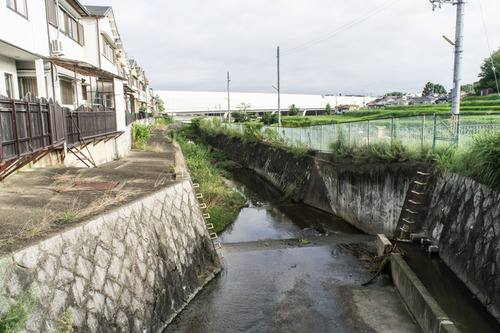 責谷川-14081936