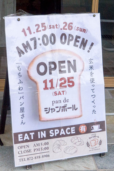 パンデシャンボール-17112511