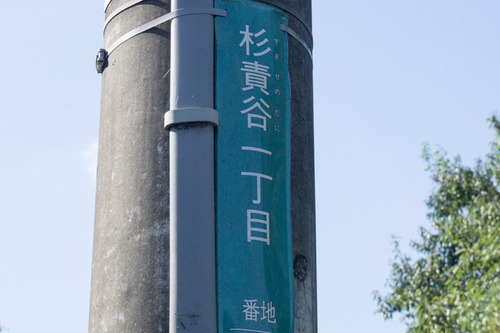 杉責谷-15101401