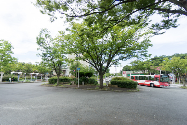 UR香里ケ丘団地周辺環境-3