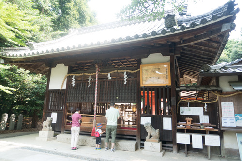 asaiku-68