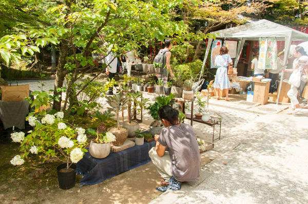 草々徒夏祭り-44