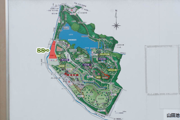 山田池公園-1705169