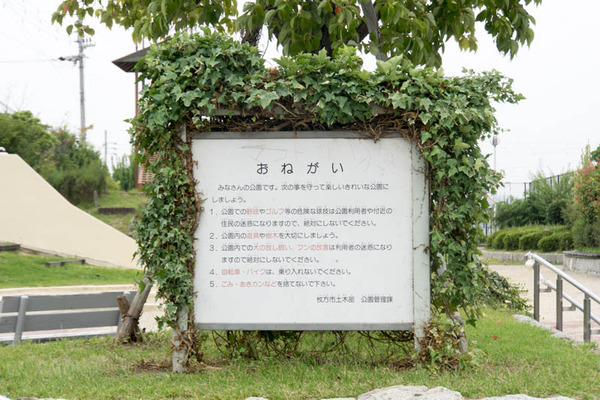 街ブラ-17092032
