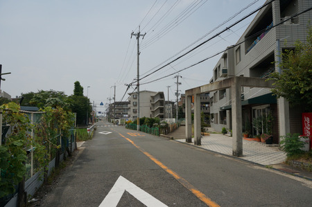 BASECAMP-05