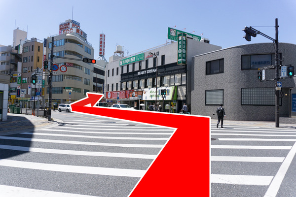 枚方田中邸のむく-10