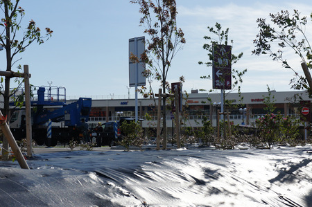 20110530DSC00377