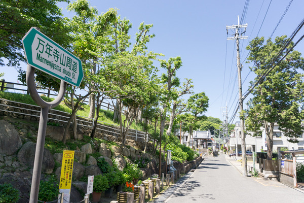 枚方田中邸のむく-8