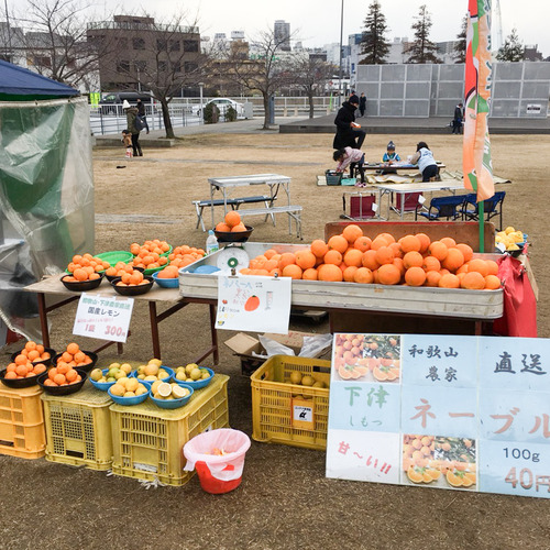 近畿フルーツ産直センター-2
