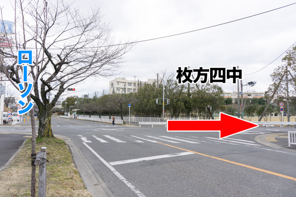 ペットコロニー香里ケ丘店-ドッグサロン-95