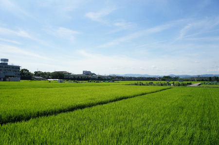 20110808DSC04298
