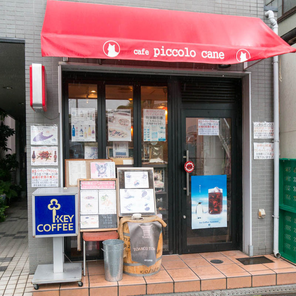 ピッコロカーネ-1606166