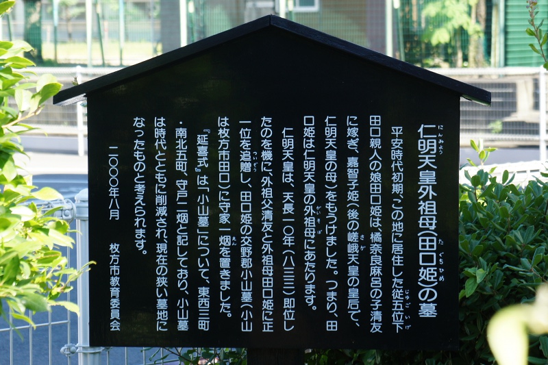 20110715DSC03594