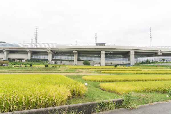 東倉治-42
