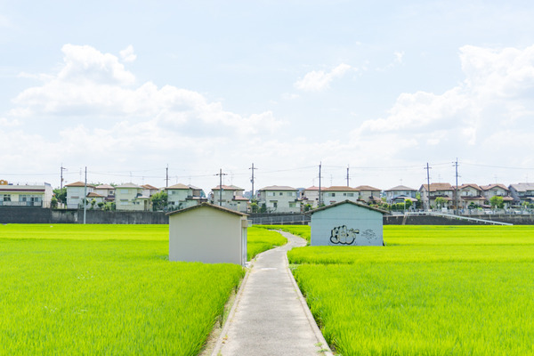 ただの枚方-12