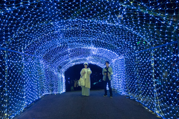 京阪コラボ_ひらパー光の遊園地_GH5小-234