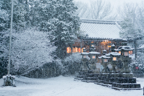 さだ神社-13