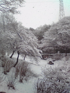 山田池06
