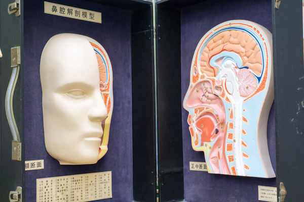 光善寺三和薬局-45