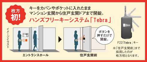 tebura