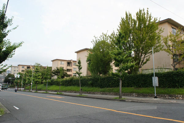 団地