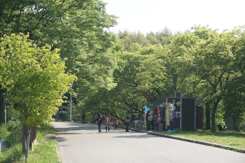 山田池公園-3