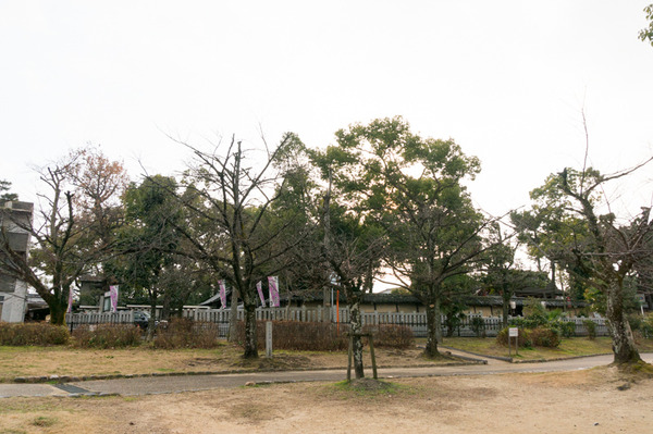 牧野-42