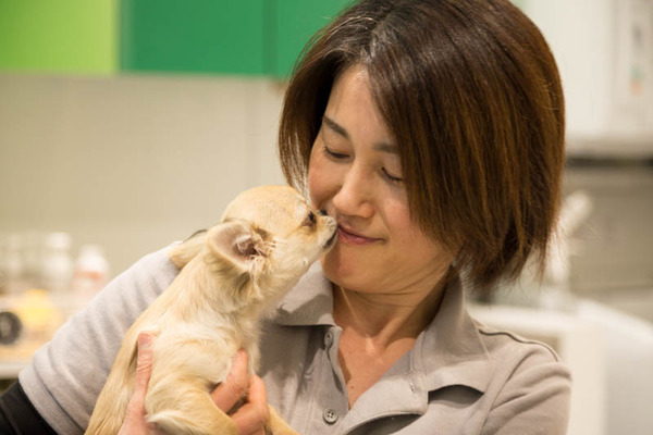 グリーンドッグ-1704069