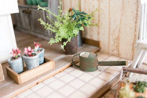 フロッシュ-15081731