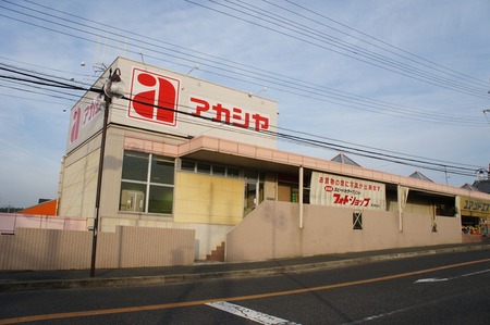 20110515DSC09592