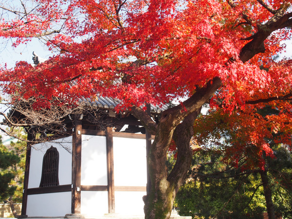 建仁寺-2