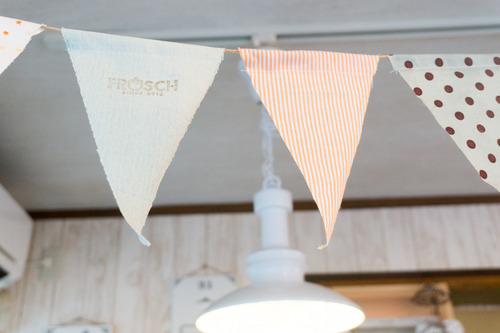 フロッシュ-15081765