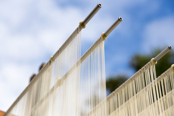 藤井米穀店-1611254