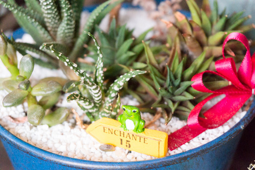 フロッシュ-15081764