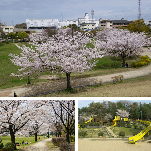 北山公園