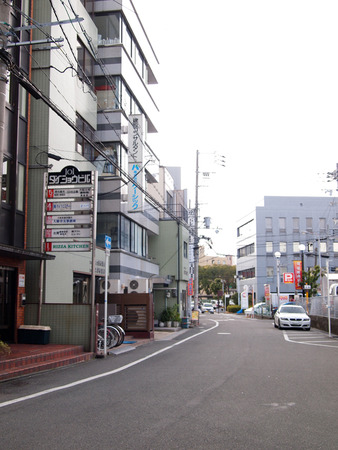 P1314068