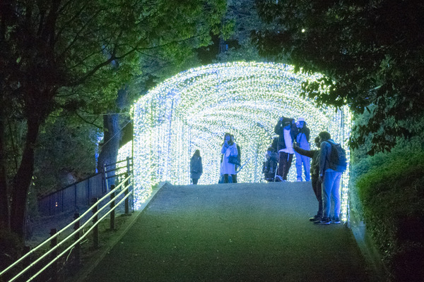 京阪コラボ_ひらパー光の遊園地_GH5小-228