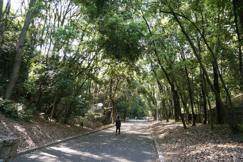 山田池公園-1