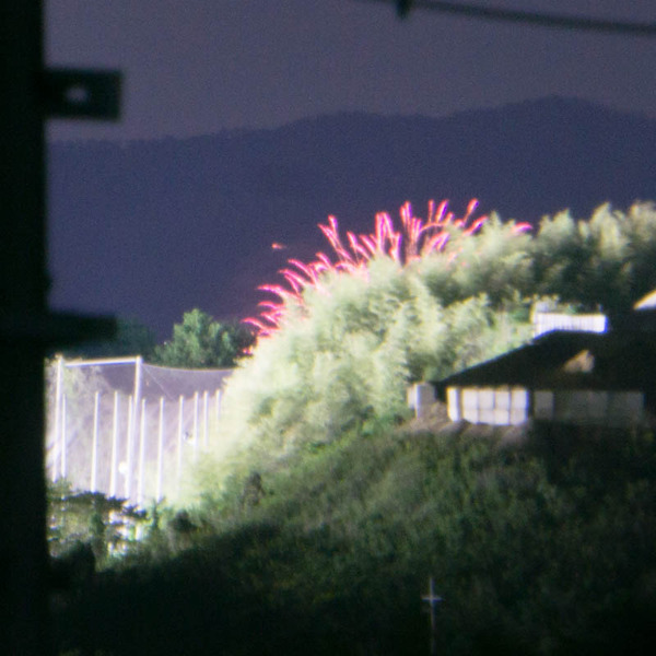 城陽秋花火-1810146