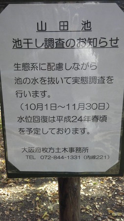 111125かっちゃん2