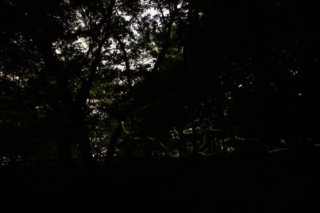 resize20120618195717