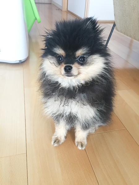 つくね3