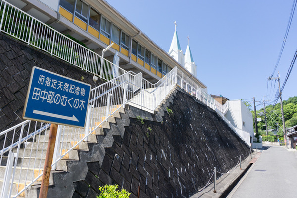 枚方田中邸のむく-7