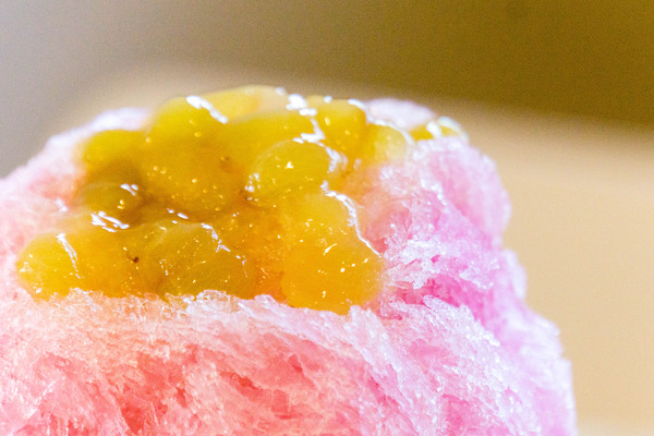 れんげそう-1708022